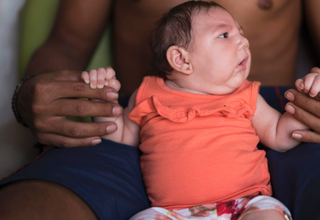Illustration for article titled New Evidence Suggests Link Between Mosquito-Borne Virus and Birth Defects